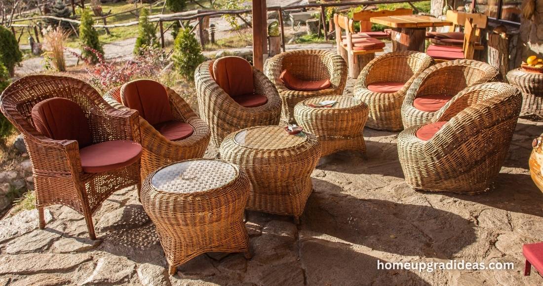 long term care for rattan in dry climates