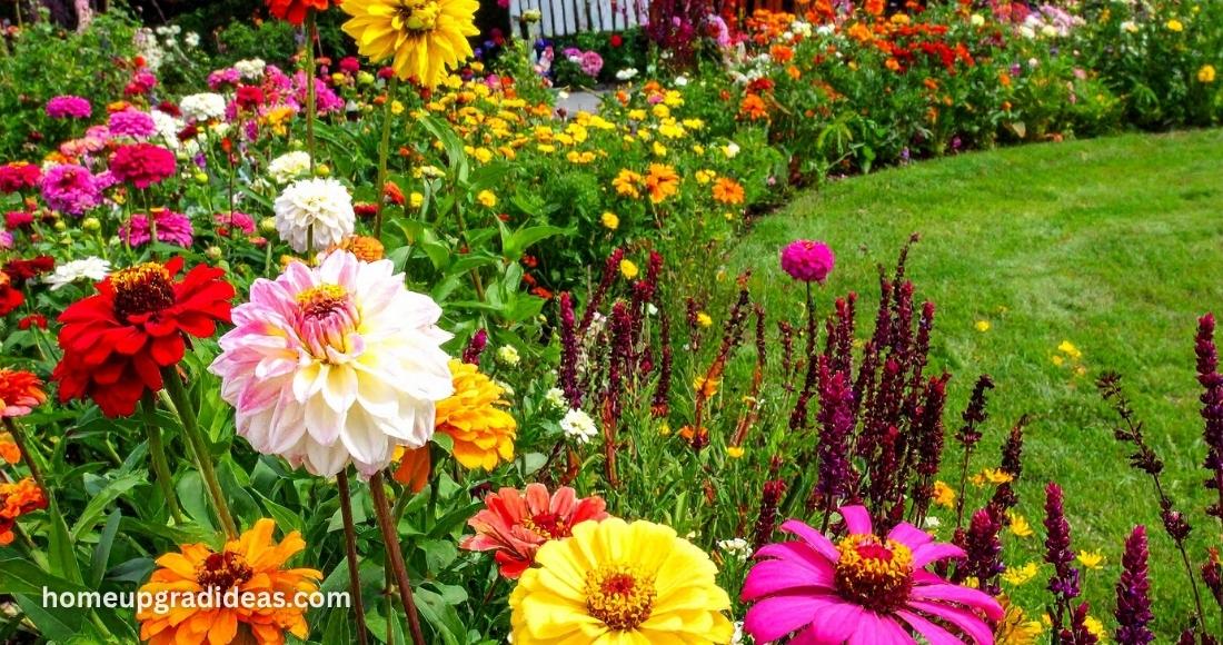 the danger of always being the flower