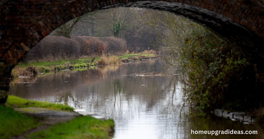wildlife and nature along the towpath