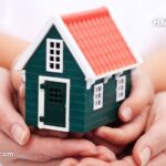 hmo meaning