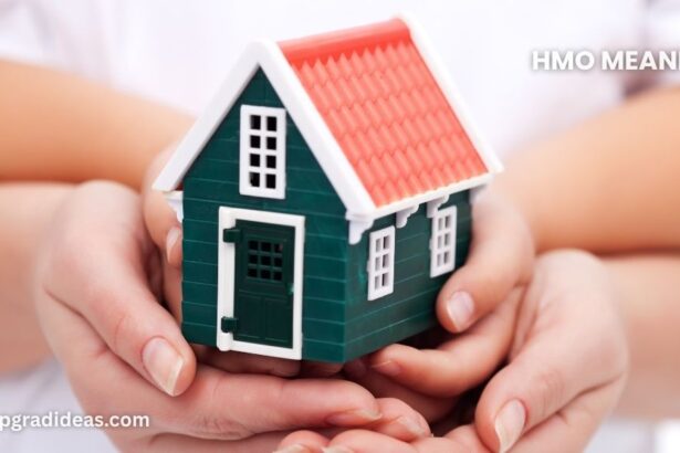 hmo meaning