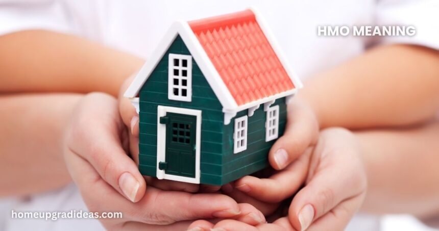 hmo meaning
