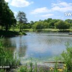swanley park