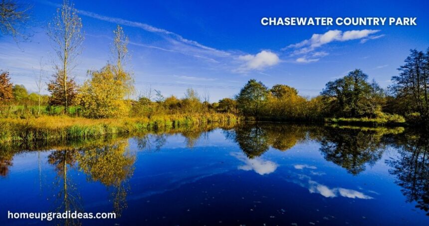 chasewater country park